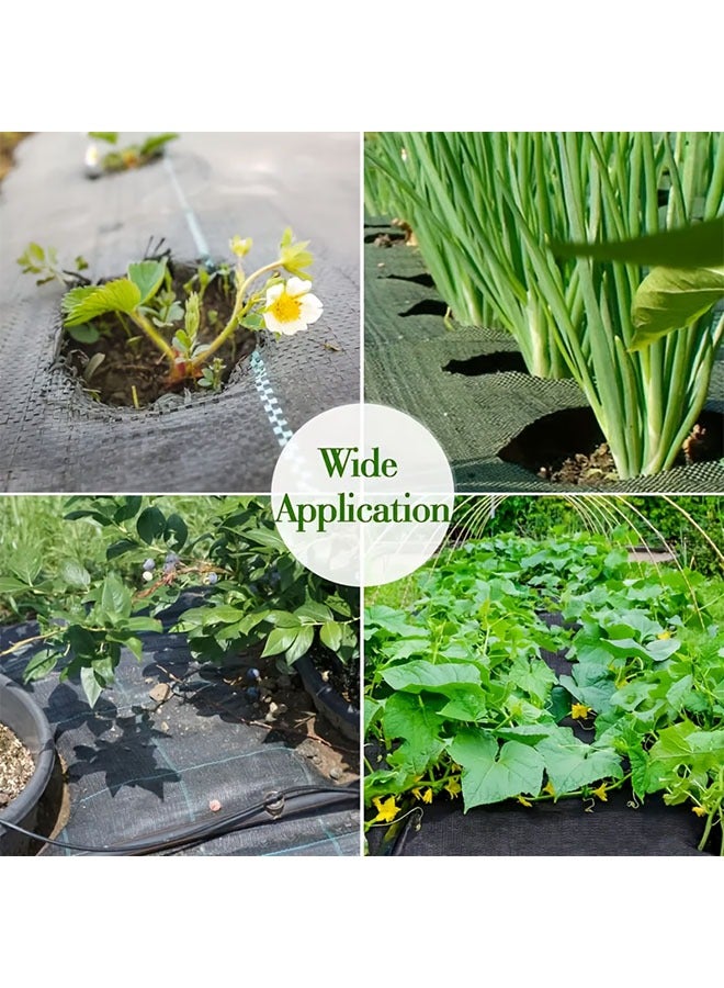 النسيج المناظر الطبيعية لحاجز الأعشاب ، 1 × 10 أمتار من نسيج حاجز الأعشاب الشاق ، والتحكم في حصيرة الحصير ، وغطاء من نسيج البولي بروبيلين مانع ، وغطاء من المناظر الطبيعية للأعشاب الضوئية ، - Image 2