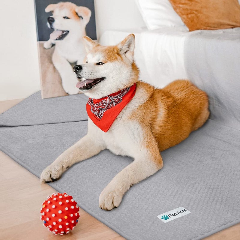 PetAmi Waterproof Dog Blanket, Leakproof XL Pet Blanket for Large Dogs, Furniture Sofa Couch Cover Protector, Fleece Cat Throw Bed Crate Kennel, Reversible Washable Soft Plush, Twin 60x80 Light Gray - Image 5