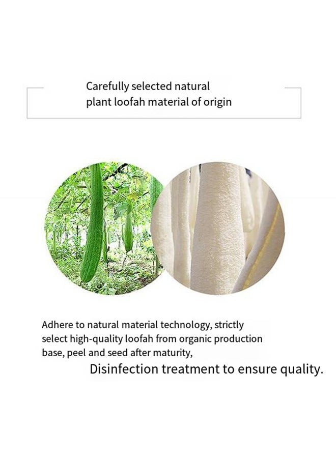 Natural Egyptian Loofah Palm Size Oval - Image 2