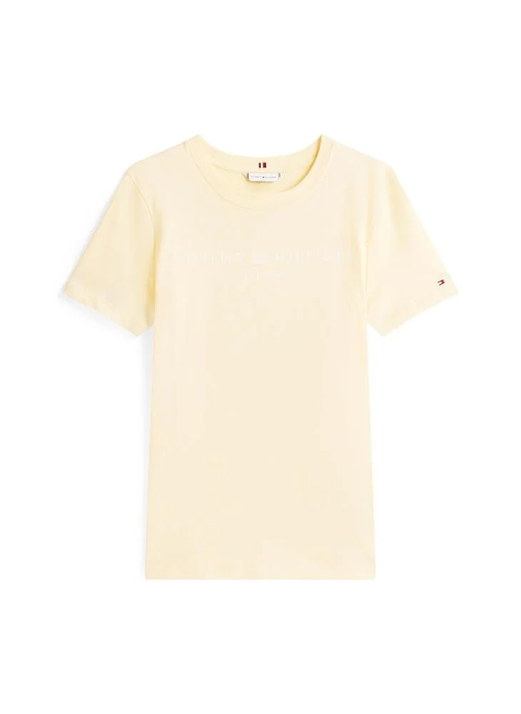 TOMMY HILFIGER CORP LOGO short sleeve t-shirt
