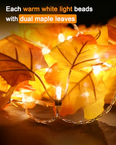 Luditek Fall Decor 2 Pack Lighted Fall Garland, Total 16.4ft 40 LED Thanksgiving Decorations Halloween String Lights, Friendsgiving Gift Thanksgiving Decor for Home Holiday Autumn Garland Indoor - Image 2