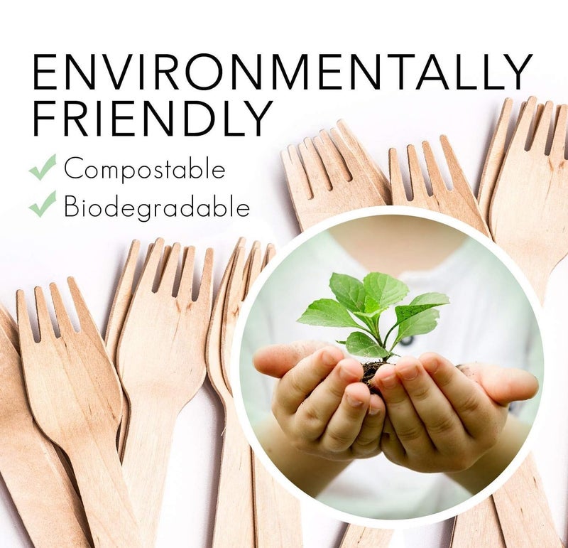 V4L Disposable Wooden Fork Pack of 300 - Image 5