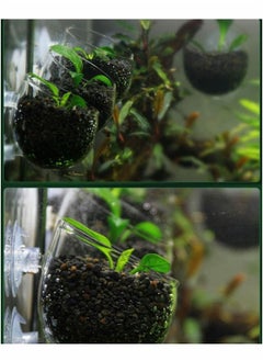 Generic Plant Pot Aquarium Decor, Aquatic Plant Cup with 2 Suction Cup, Crystal Glass Pot for Fish Tank, 2pcs  - Image 2