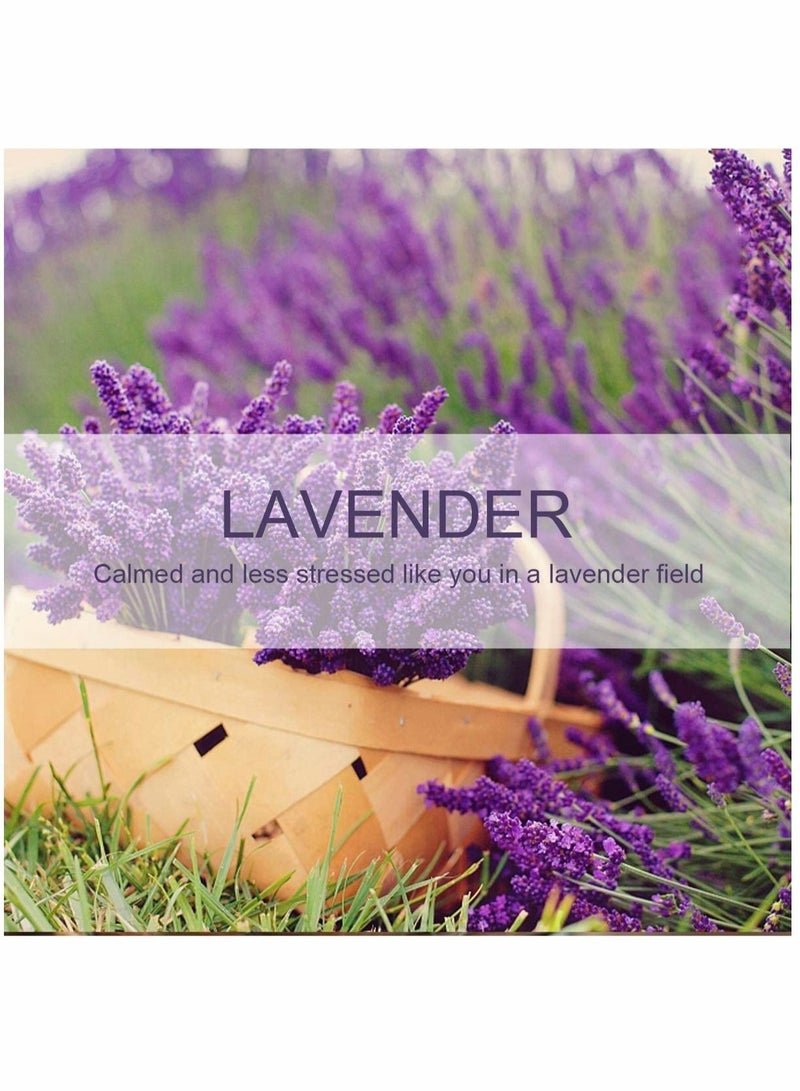 Captaintech 12 Packs Lavender Closet Deodorizer Air Freshener Long Lasting Scented Drawers Sachets Smell Goods for House - Image 2