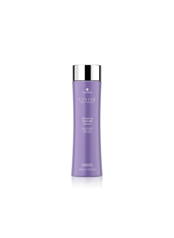 Alterna Caviar Anti-Aging Multiplying Volume Shampoo 250ml - Image 1