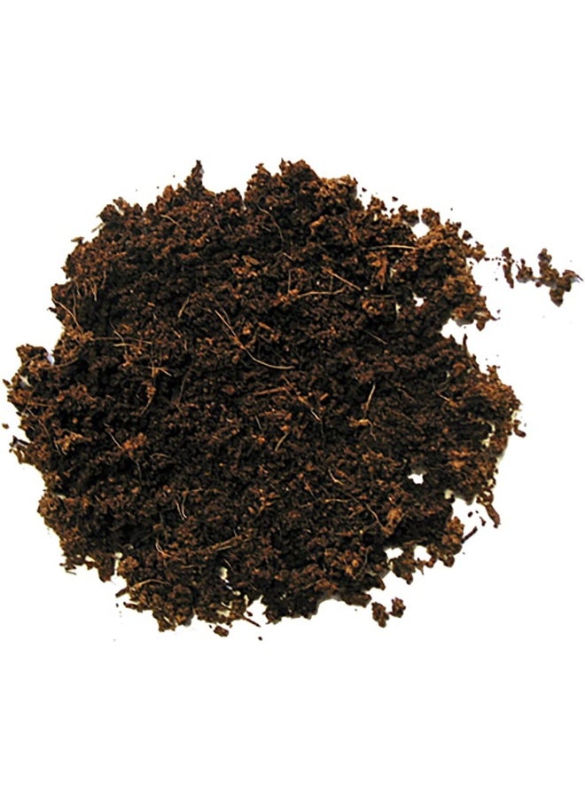 Hobby Terrano Forest Substrate 4L - Image 2