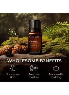 Gya Labs Pure Cypress Essential Oil - 100% Natural Therapeutic Grade Cypress Oil Essential Oils for Varicose Veins, Diffuser & Aromatherapy, 0.34 Fl Oz (Pack of 1) - pzsku/ZA6FA8A08F3730F696CFBZ/45/_/1739961818/e6a2992b-3e15-4f7a-b570-53d032a907e4