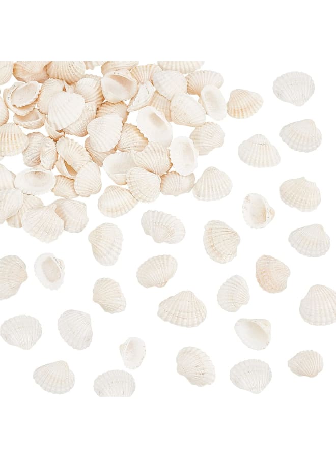 45~55pcs White Natural Conch Shell Beads Undrilled/No Hole Tiny Scallop Sea Shells Ocean Beach Seashells Craft Charms for Candle Making Home Decoration Party Wedding Decor  - Image 1