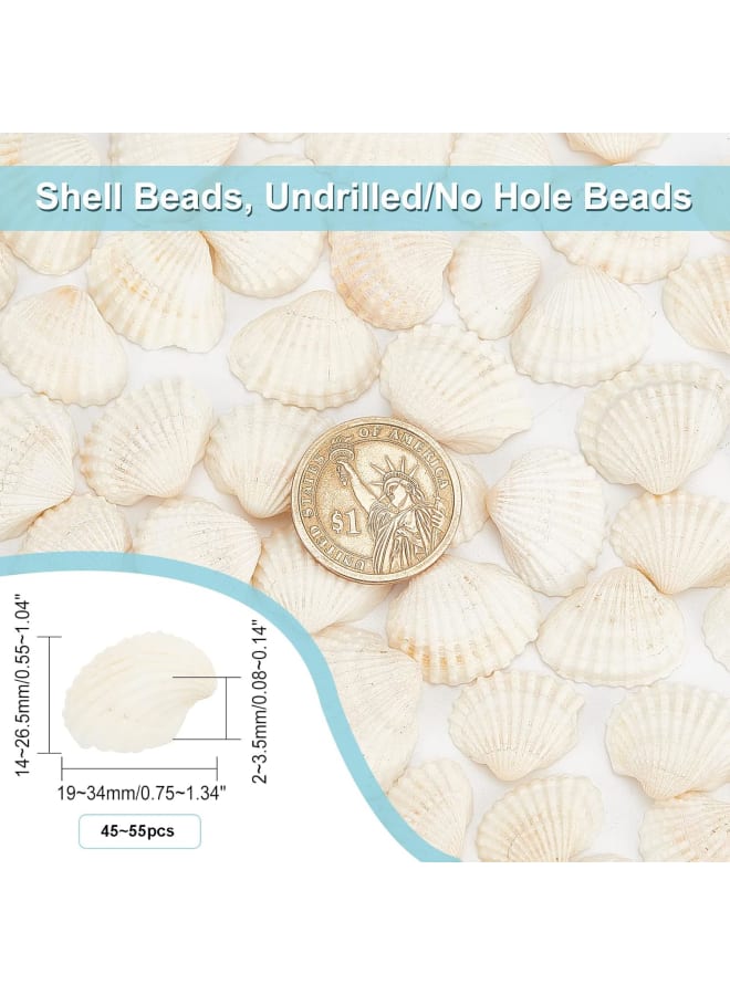 45~55pcs White Natural Conch Shell Beads Undrilled/No Hole Tiny Scallop Sea Shells Ocean Beach Seashells Craft Charms for Candle Making Home Decoration Party Wedding Decor  - Image 5