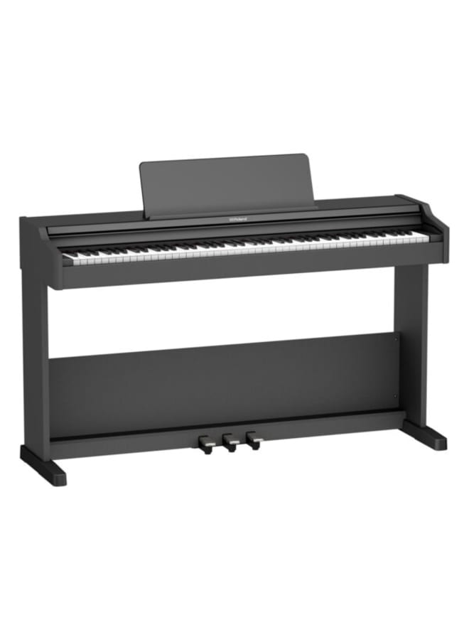 Roland RP107 - Image 1