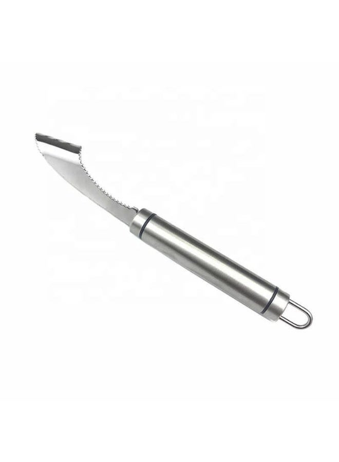 2PCS,Stainless Steel Chili Seed Remover Household 2-in-1 Cutting Tool for Bitter Gourd Core Removal Green Pepper Seeding - Image 4