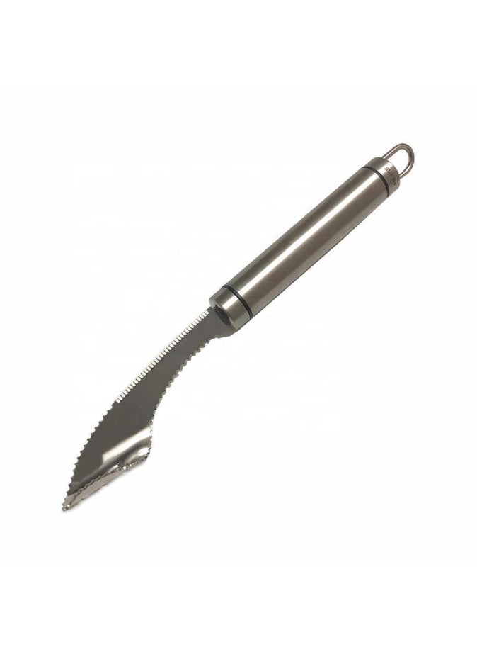 2PCS,Stainless Steel Chili Seed Remover Household 2-in-1 Cutting Tool for Bitter Gourd Core Removal Green Pepper Seeding - Image 5