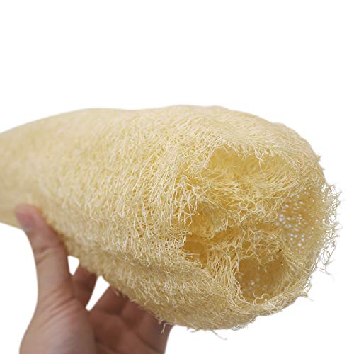 METLUCK Natural Organic Loofah Sponges Large Exfoliating Shower Bath Loofah Luffa Loofa Body Scrubbers Sponges for SPA Beauty Bath and Radiant Skin, Pack of 4 - Image 3