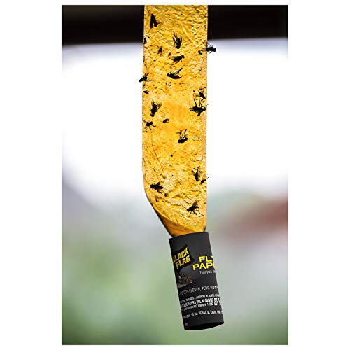 Black Flag Fly Paper 4 Traps, Catches All Flying Insects, 24 Pack - Image 3