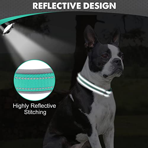Joytale Dog Collar for Medium Dogs, Neoprene Padded and Adjustable, Reflective Wide Heavy Duty Pet Collars with Durable Metal Belt Buckle for Walking, Teal, M - Image 4