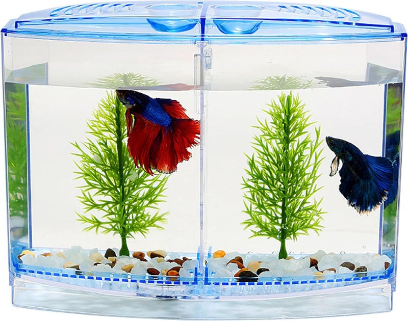 animaux Double House Betta Fish Tank Aquarium Isolation Box for Fighter Fish and Guppy (18 cm x 8 cm x 14 cm) (Betta House Double) Colour May Vary (Fish Not Included) Small Size - Image 2