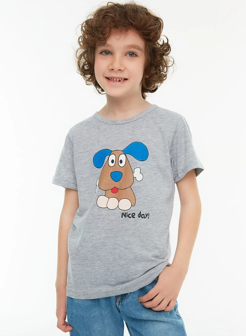 trendyol Kids 2 Pack Assorted T-Shirt