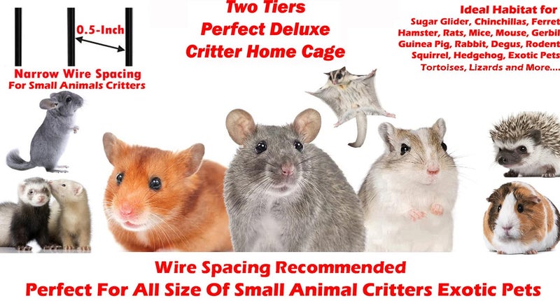 Mcage Deluxe Two Tiers Small Animal Critter Cage Tight 1/2-Inch Bar Spacing Water Bottle Food Bowl Feisty Ferret Hammock Chinchilla Rat Mice Squirrel Rabbit Sugar Glider Easy Clean Pull Out Grate Tray - Image 2