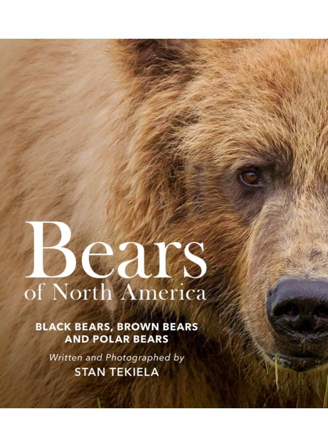 Bears of North America : Black Bears, Brown Bears, and Polar Bears 