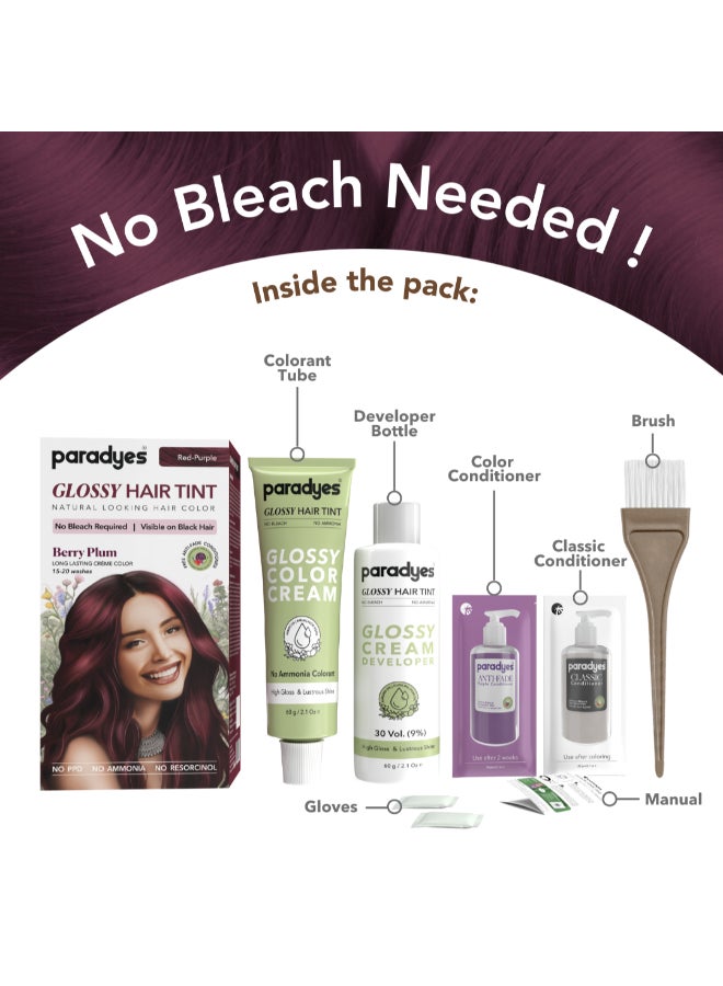 Paradyes تلوين الشعر اللامع بالتوت البرّي-plum بدون مبيض - خالي من الأمونيا للشعر الأسود الطبيعي، نتائج مرئية - يشمل بلسم مضاد للتلاشي للمعان يدوم طويلاً، 1 قطعة - Image 3