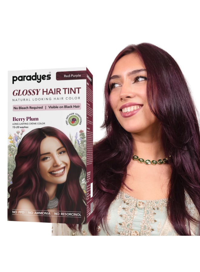 Paradyes تلوين الشعر اللامع بالتوت البرّي-plum بدون مبيض - خالي من الأمونيا للشعر الأسود الطبيعي، نتائج مرئية - يشمل بلسم مضاد للتلاشي للمعان يدوم طويلاً، 1 قطعة - Image 1
