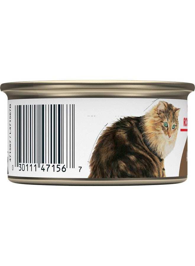 رويال كانين طعام القطط المعلب من Feline Health Nutrition Aging 12+ شرائح رقيقة في الصلصة، عبوة 3 أونصة (عبوة من 24 قطعة) - Image 4