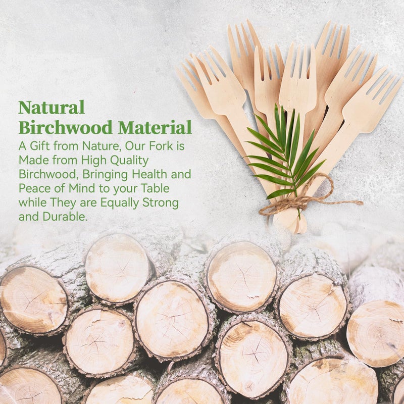 ECOLipak 300 Count Wooden Forks Disposable  Wooden Disposable Compostable Forks for Eating  Party  Camping  Traveling  Family Dinners - Image 3