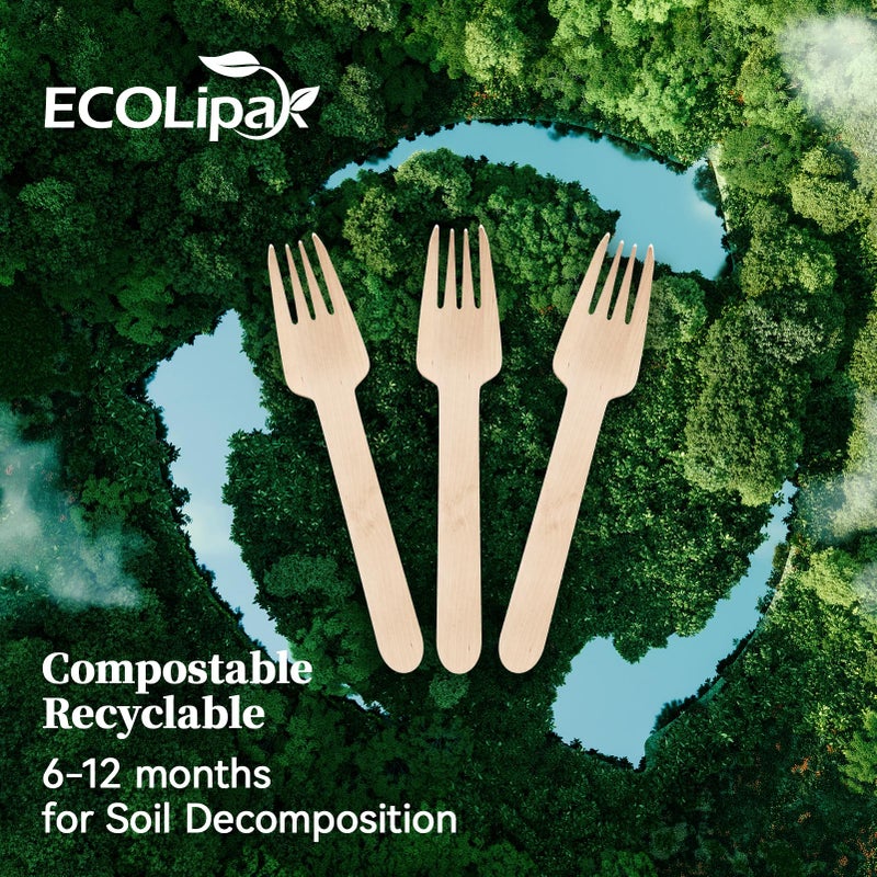 ECOLipak 300 Count Wooden Forks Disposable  Wooden Disposable Compostable Forks for Eating  Party  Camping  Traveling  Family Dinners - Image 4