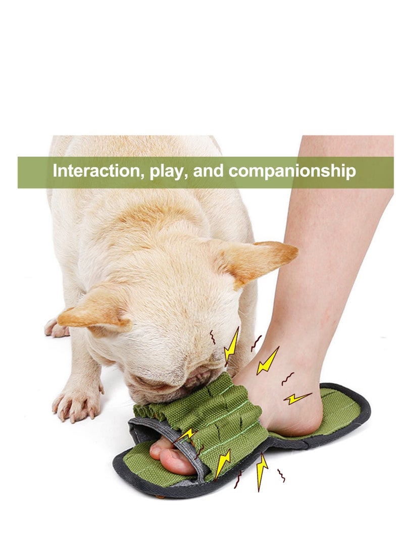 SYOSI Dog Toys, Slippers Shaped Pet Toys, Dog Toys for Boredom,  Interactive Squeaky Toys for Small Medium Dogs, Training Toy with Function for Puzzle, Food Hunting Stress Relief (Green)  - Image 5