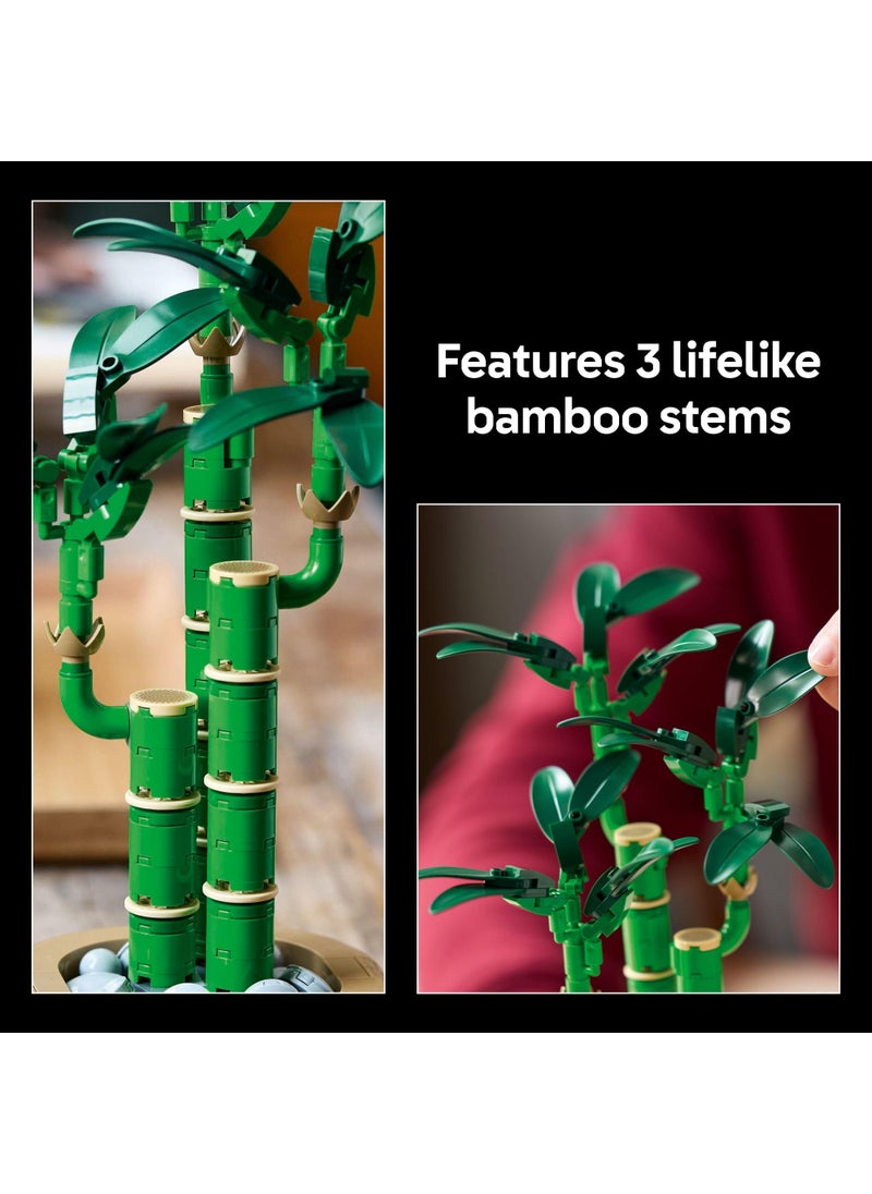 LEGO LEGO Botanicals Lucky Bamboo Building Set - Artificial Plant for Indoor Home D?cor  Adults Ages 18+ - Fake Plant Decoration for Table  Desk  Office - Gift for Valentines Day - 10344  - Image 4