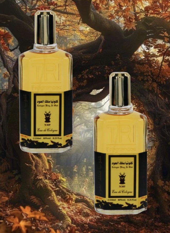 في آي بي 2 قطع كلونيا ملك العود 250مل - Image 1