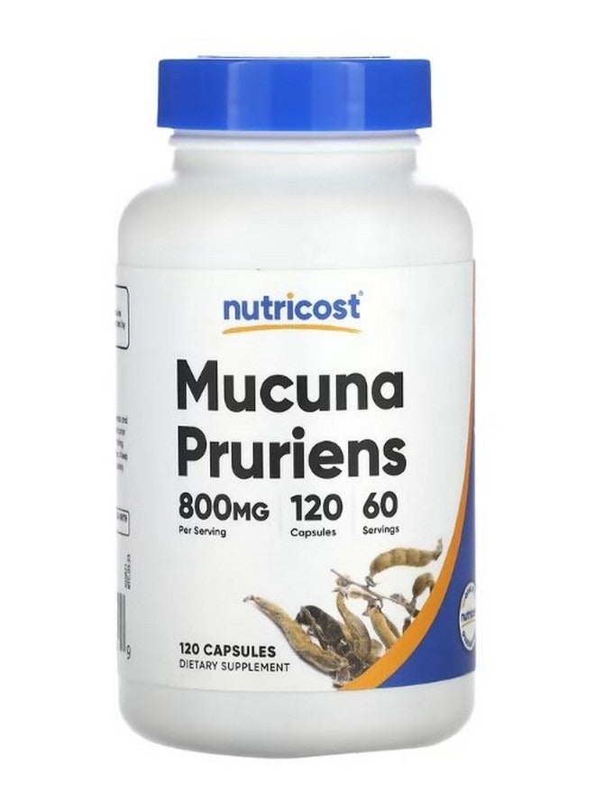 Mucuna Pruriens 800 mg 120 Capsules 400 mg per Capsule - Image 1