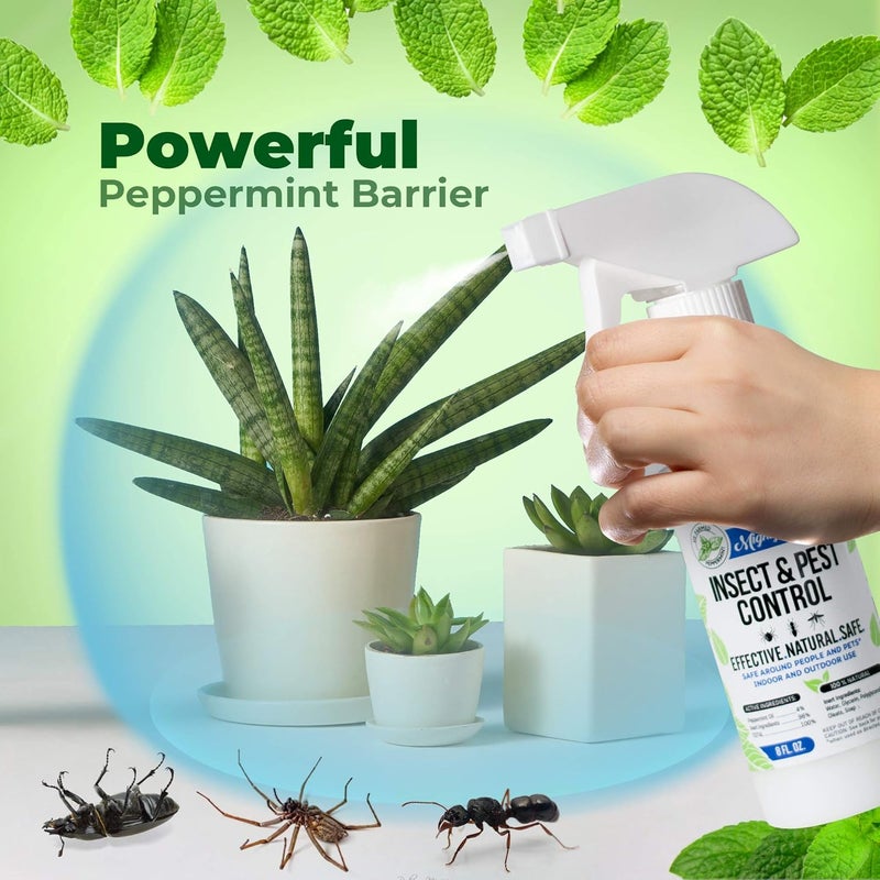 Mighty Mint 8oz Insect and Pest Control Peppermint Oil - Natural Spray for Spiders, Ants, and More (2) - Image 3