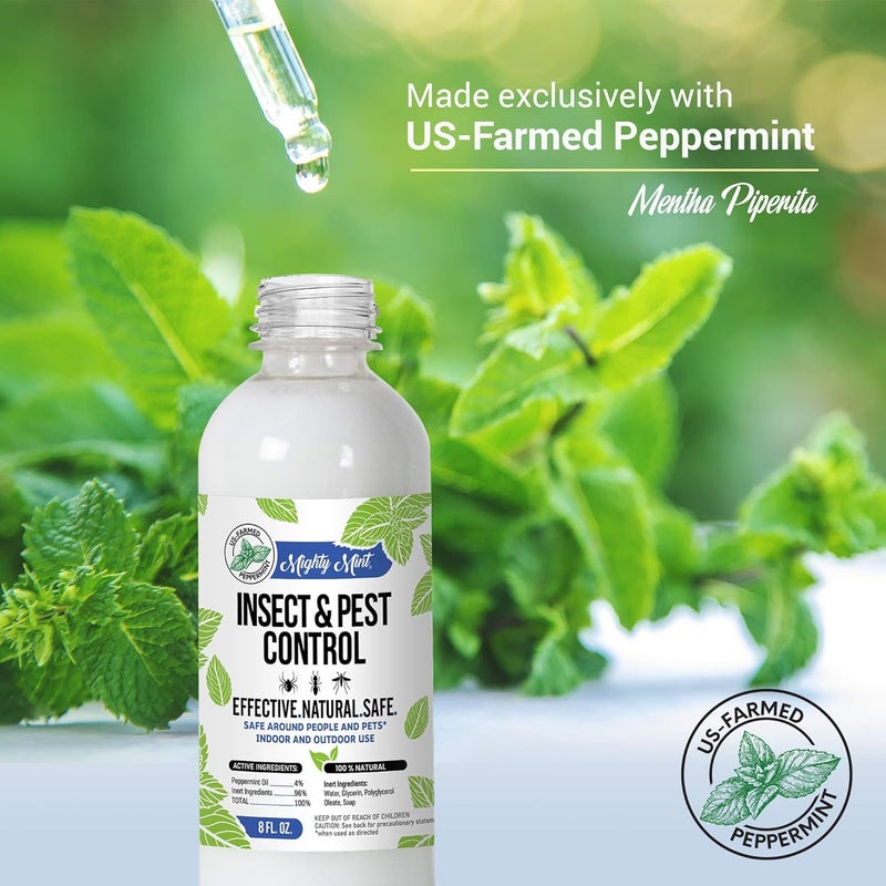 Mighty Mint 8oz Insect and Pest Control Peppermint Oil - Natural Spray for Spiders, Ants, and More (2) - Image 4
