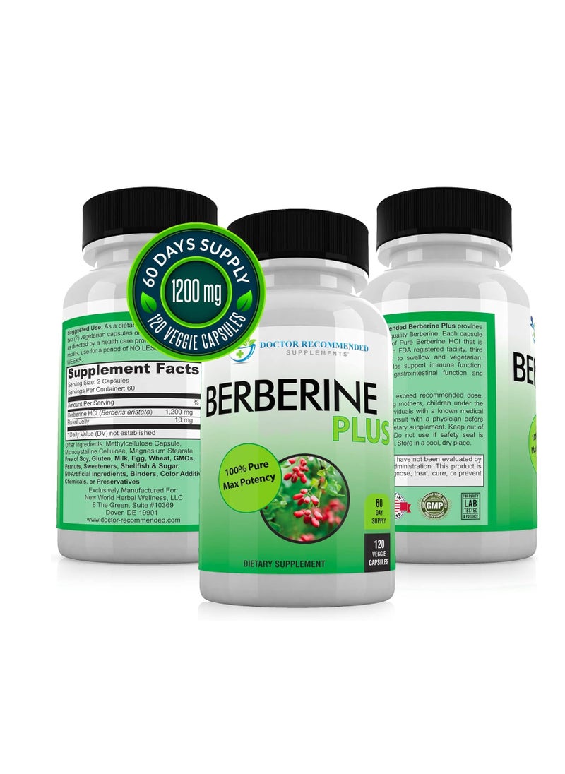DOCTOR RECOMMENDED SUPPLEMENTS - Berberine Plus 1200Mg Per Serving - 120 Veggie Capsules - Image 1