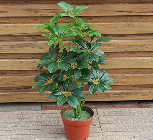 Fourwalls Artificial Schefflera Plant with 18 Leaves for Home and Office décor Without Vase (70 cm Tall, Green) - Image 1