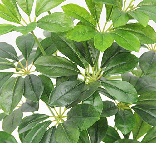 Fourwalls Artificial Schefflera Plant with 18 Leaves for Home and Office décor Without Vase (70 cm Tall, Green) - Image 2