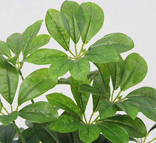 Fourwalls Artificial Schefflera Plant with 18 Leaves for Home and Office décor Without Vase (70 cm Tall, Green) - Image 3