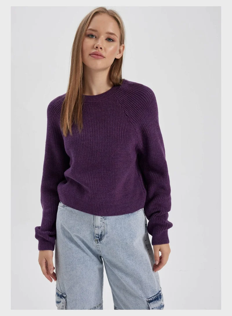 DeFacto Regular Fit Crew Neck Sweater