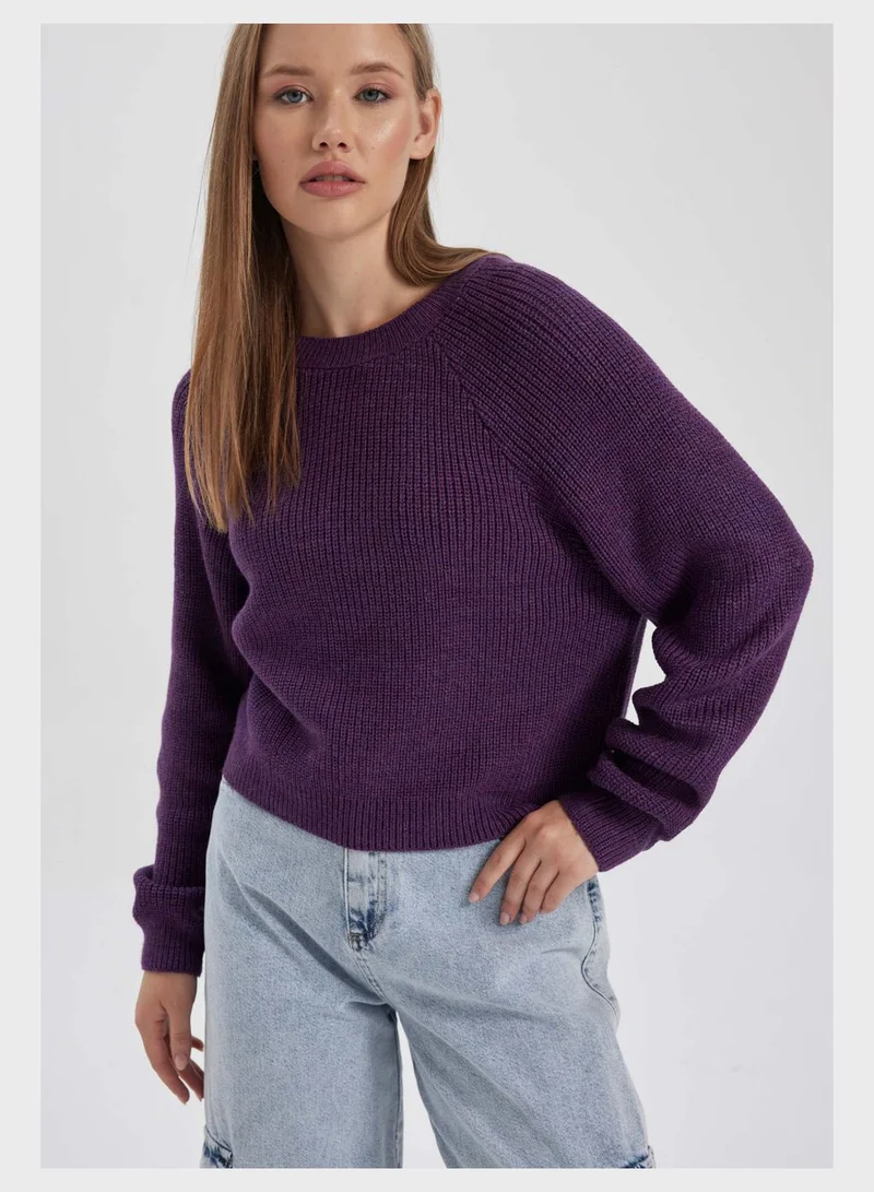 DeFacto Regular Fit Crew Neck Sweater