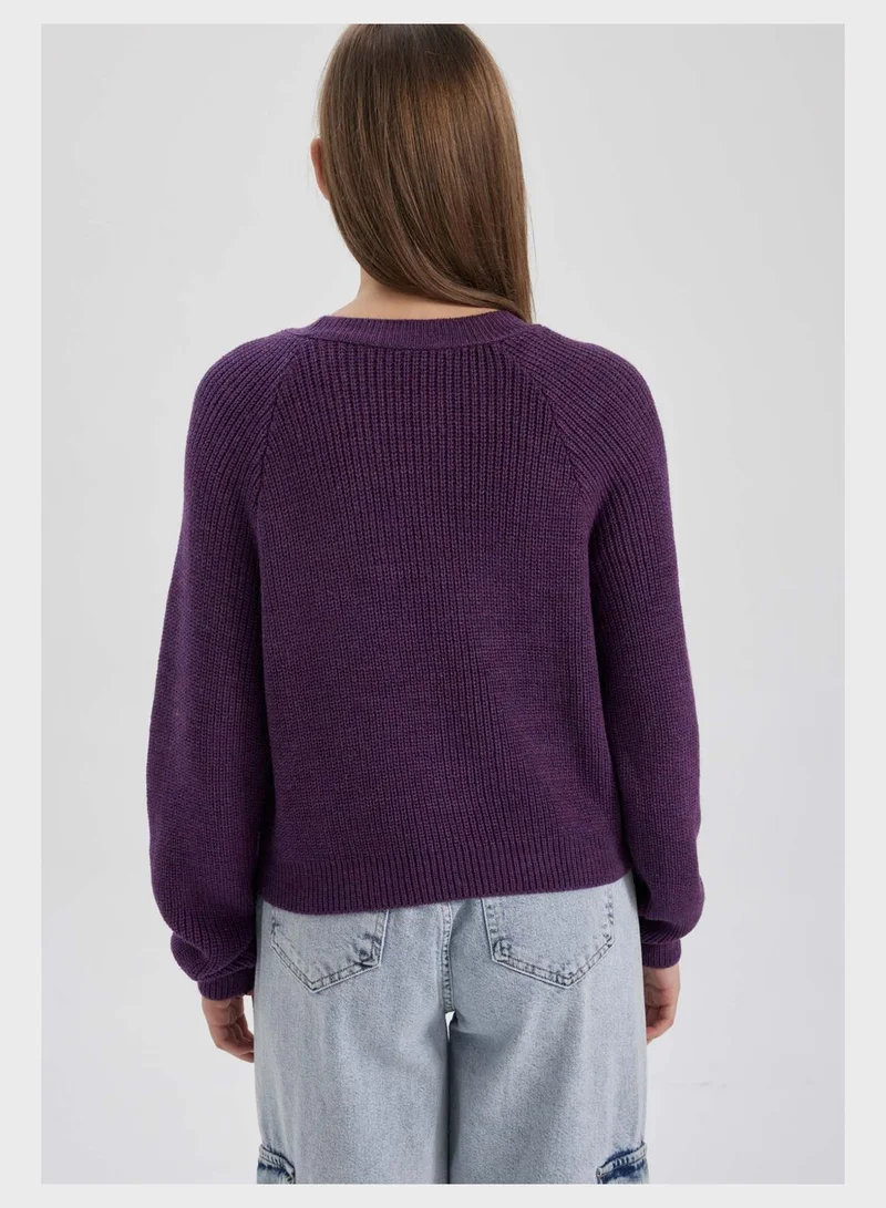 DeFacto Regular Fit Crew Neck Sweater