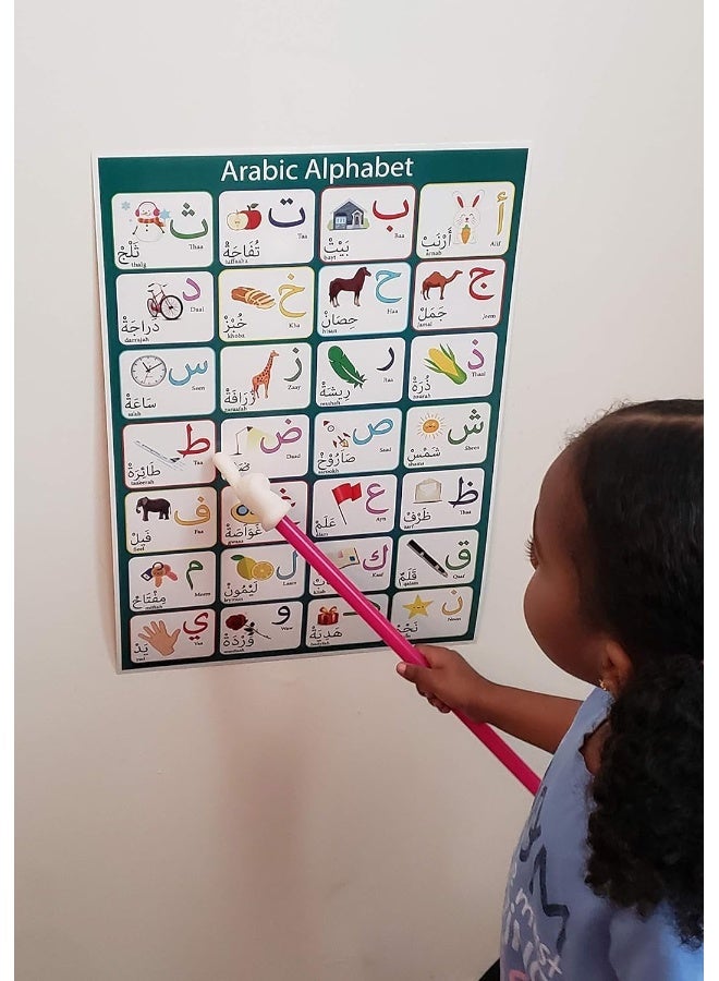 BPA Laminated Arabic Alphabet Poster Perfect for Toddlers Kids Pre school classes dÃÂ©cor - Image 3