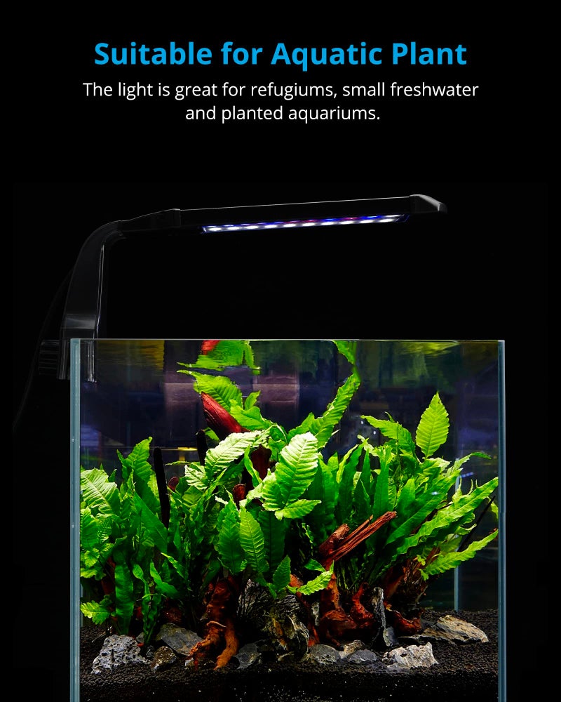 NICREW Clip on Aquarium Light, Fish Tank Light with White, Blue and Red LEDs, Planted Aquarium Light for Nano Tank, 2 Lighting Modes - Image 2