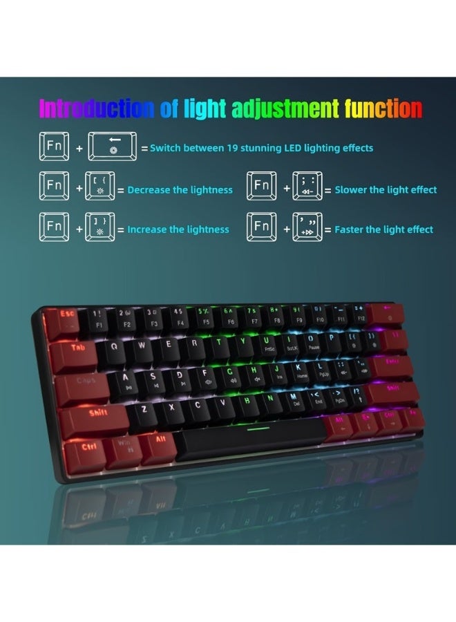 JeDEL KL69 60% Mechanical Gaming Keyboard Rainbow - Red Switches - Detchable USB C Cable - English and Arabic Keys - Image 5