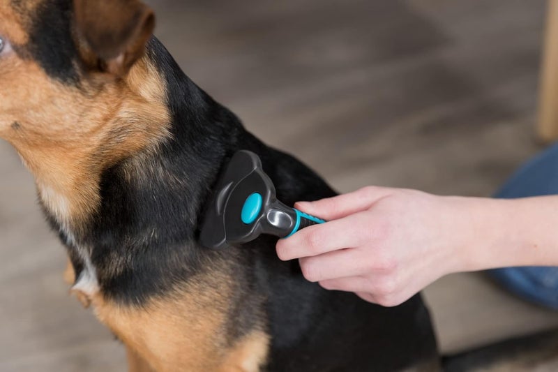 Trixie Carding Groomer Tool for Dogs - Image 5