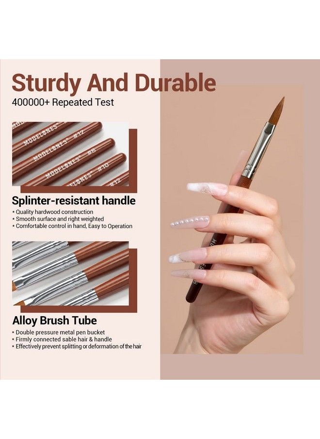 modelones 3Pcs Acrylic Nail Brush Set Size 81012 Kolinsky Acrylic Brushes For Acrylic Powder Application Nail Extension 3D Nail Carving Round Shaped Nail Art Brushes With Wooden Handle  - Image 4
