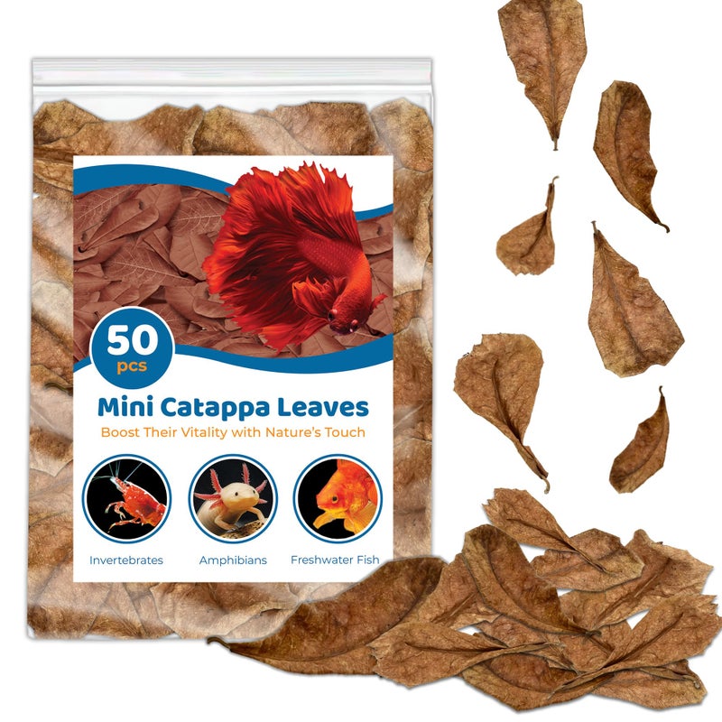 SunGrow 50 Pcs Mini Catappa Indian Almond Leaves for Betta Fish Aquarium, Shrimp, Frogs, Improves Habitat, Gives Tea Color, Helps in Lowering Aquarium Water pH, Improves Immunity - Image 1