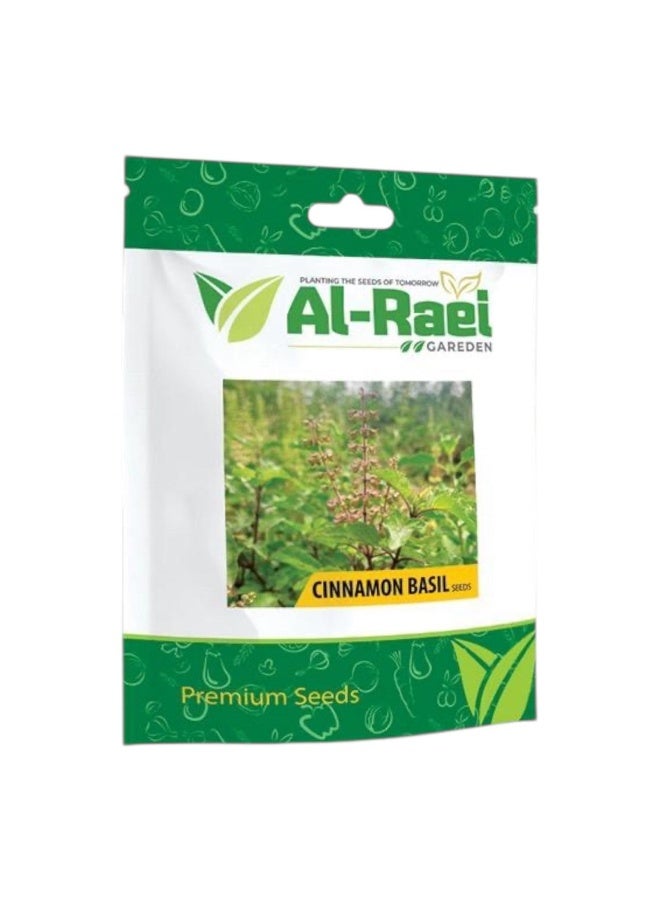Al-Raei Cinnamon Basil Premium Seeds for Kitchen Gardening