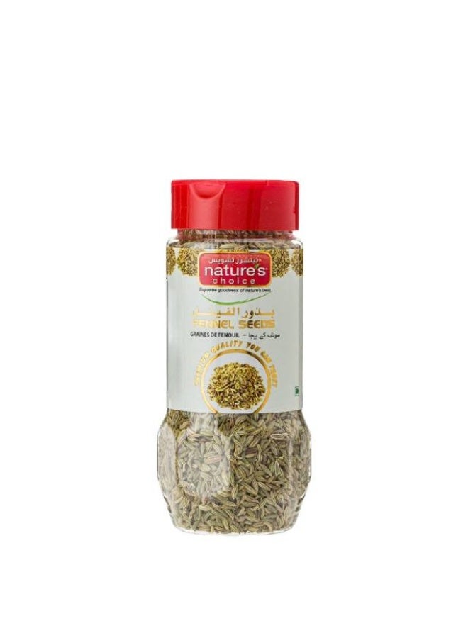 Fennel Seeds, Whole - 100g, India
