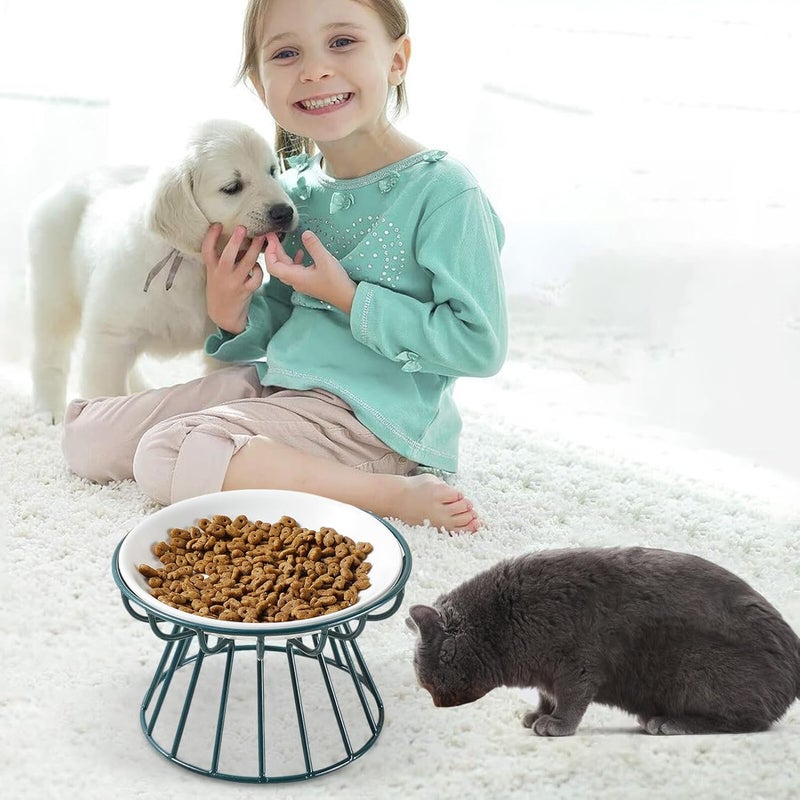 Pet Ceramic Raised Cat Bowl and Puppy Food Dish Set with Fishbone Rack, Whisker Relief Design, Elevated Feeding Station for Indoor Cats and Kittens – 2 Pieces (Ceramic Bowls - Image 4
